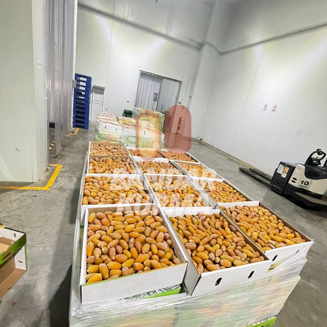 WhatsApp Image 2022-12-14 at 09.14.26 (1)