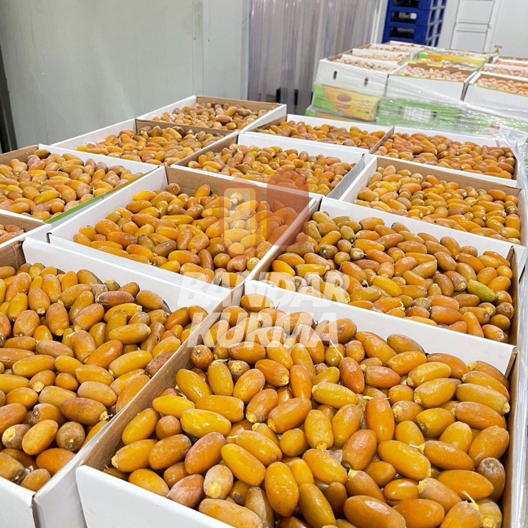 WhatsApp Image 2022-12-14 at 09.14.26 (2)